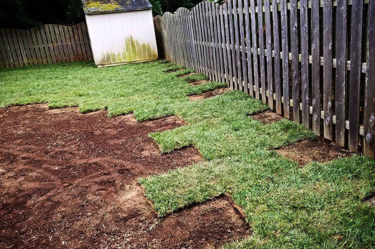Fresh sod being installed