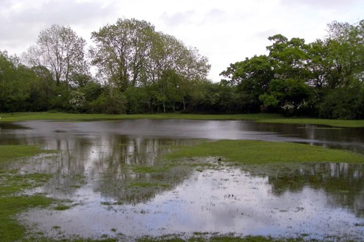 Drainage and erosion control