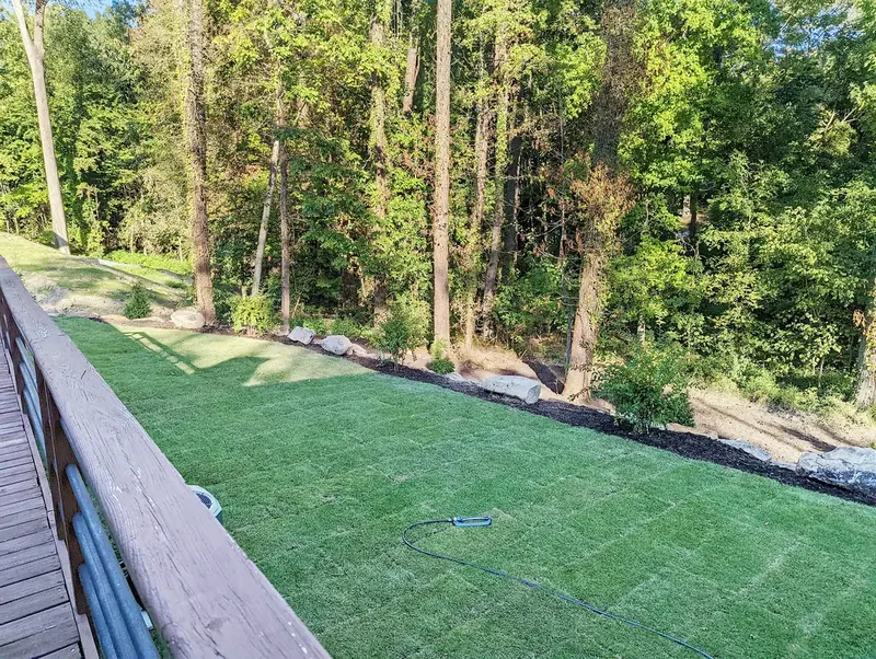 Lawn photograph from Coobs’ existing sod service page